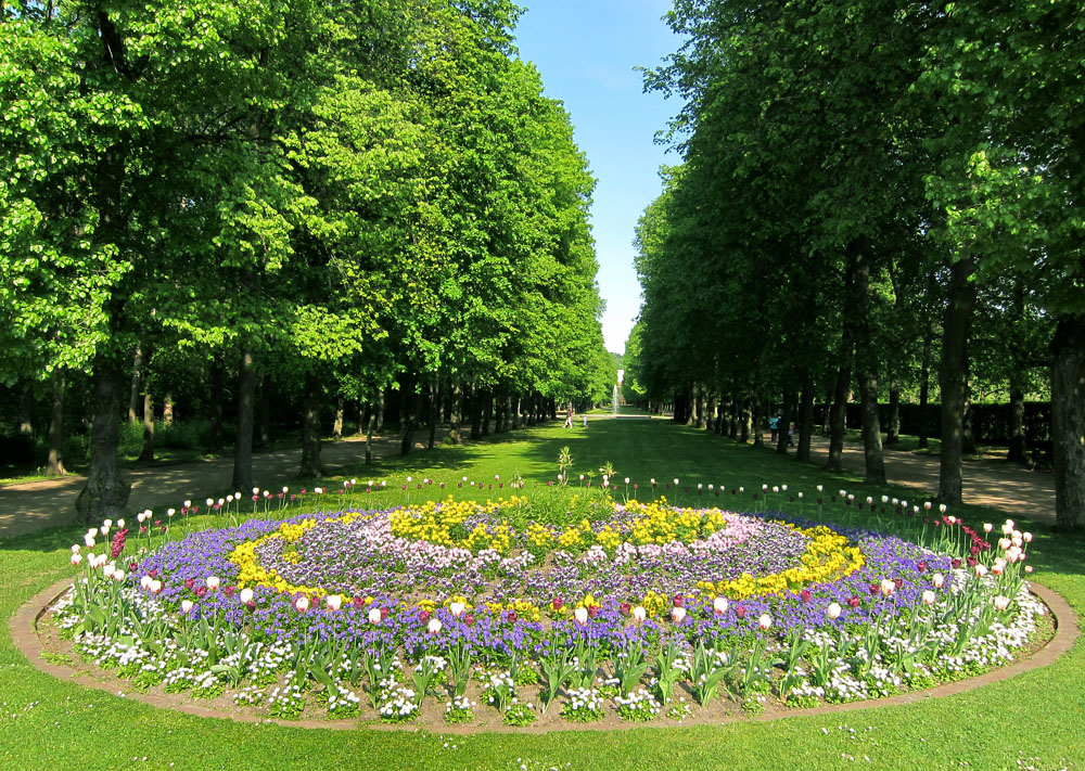 Lindenallee Hofgarten Ansbach Foto & Bild landschaft, garten
