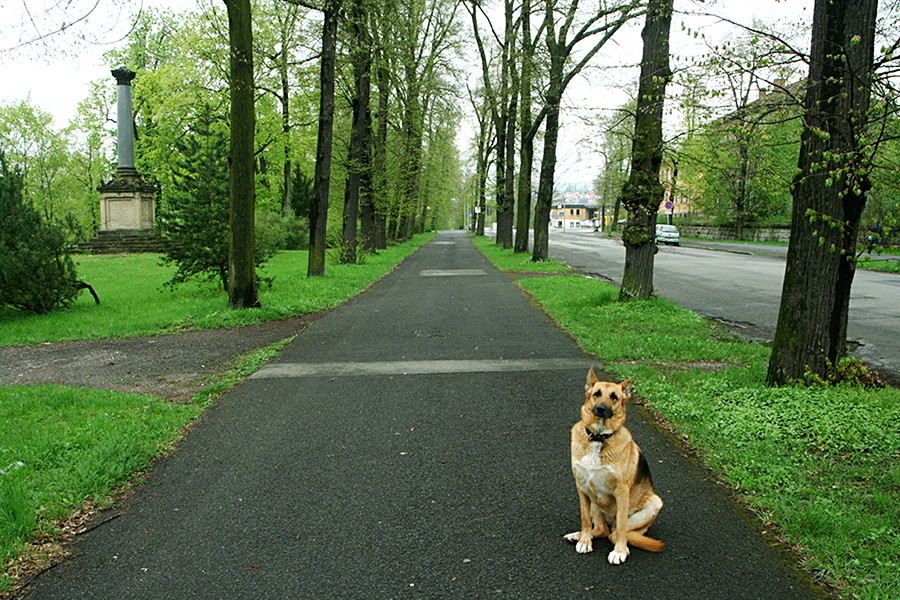 Lindenallee - Kriegerdenkmal