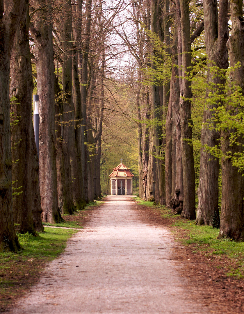 Lindenallee und Marienkapelle.