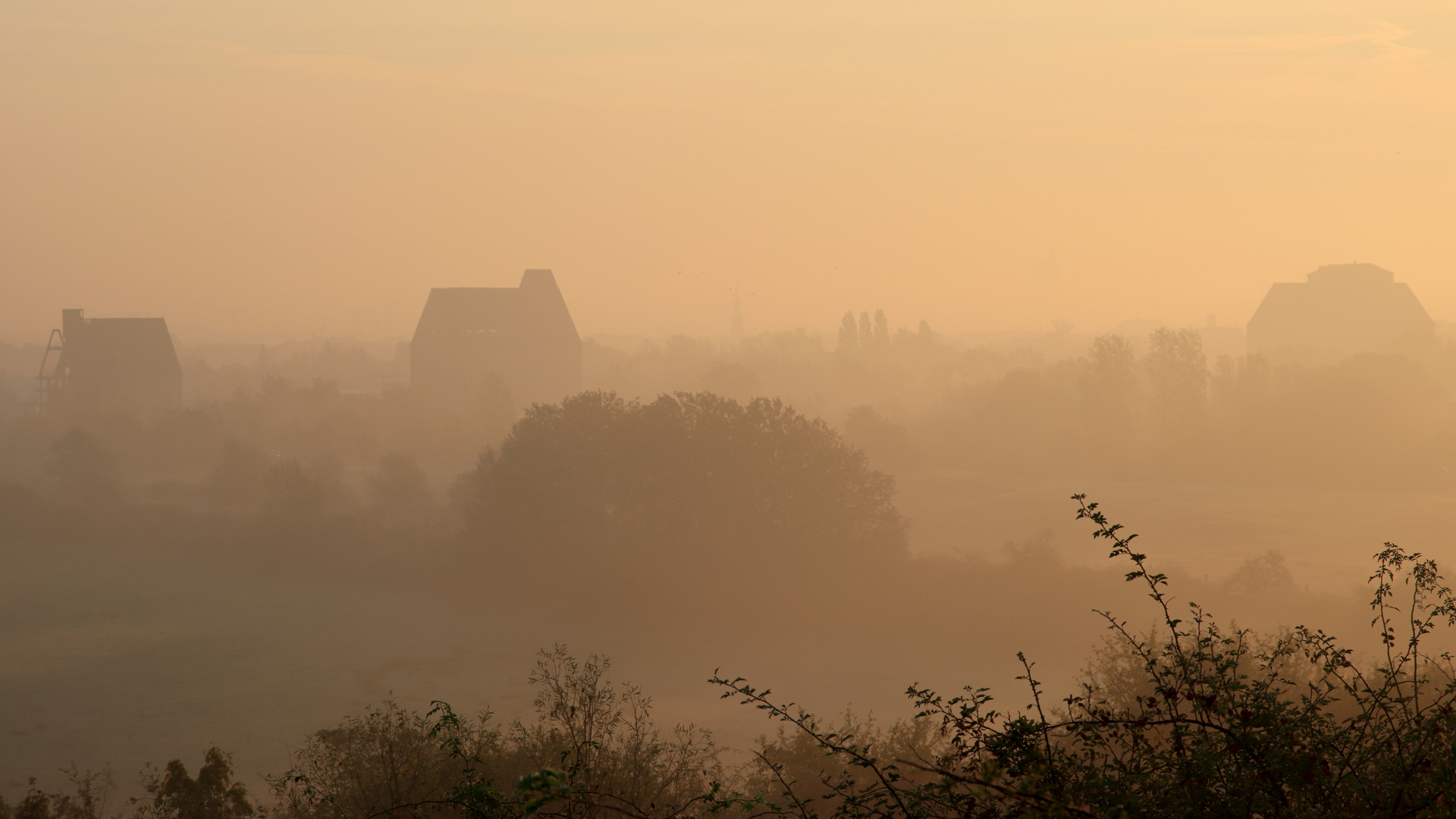 Lindenauer Hafen im Nebel