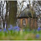 Lindener Bergfriedhof im Frühling