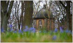 Lindener Bergfriedhof im Frühling