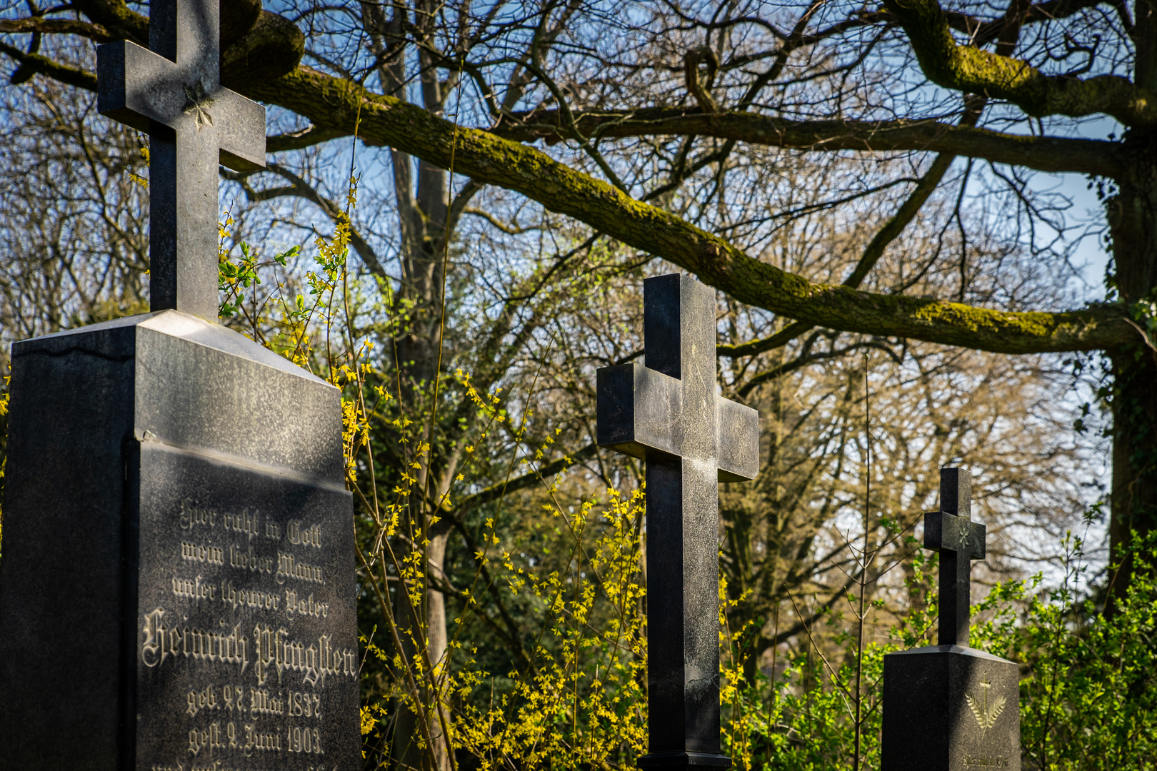 Lindener Bergfriedhof VI - Hannover