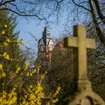 Lindener Bergfriedhof VII - Hannover