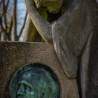 Lindener Bergfriedhof VIII - Hannover