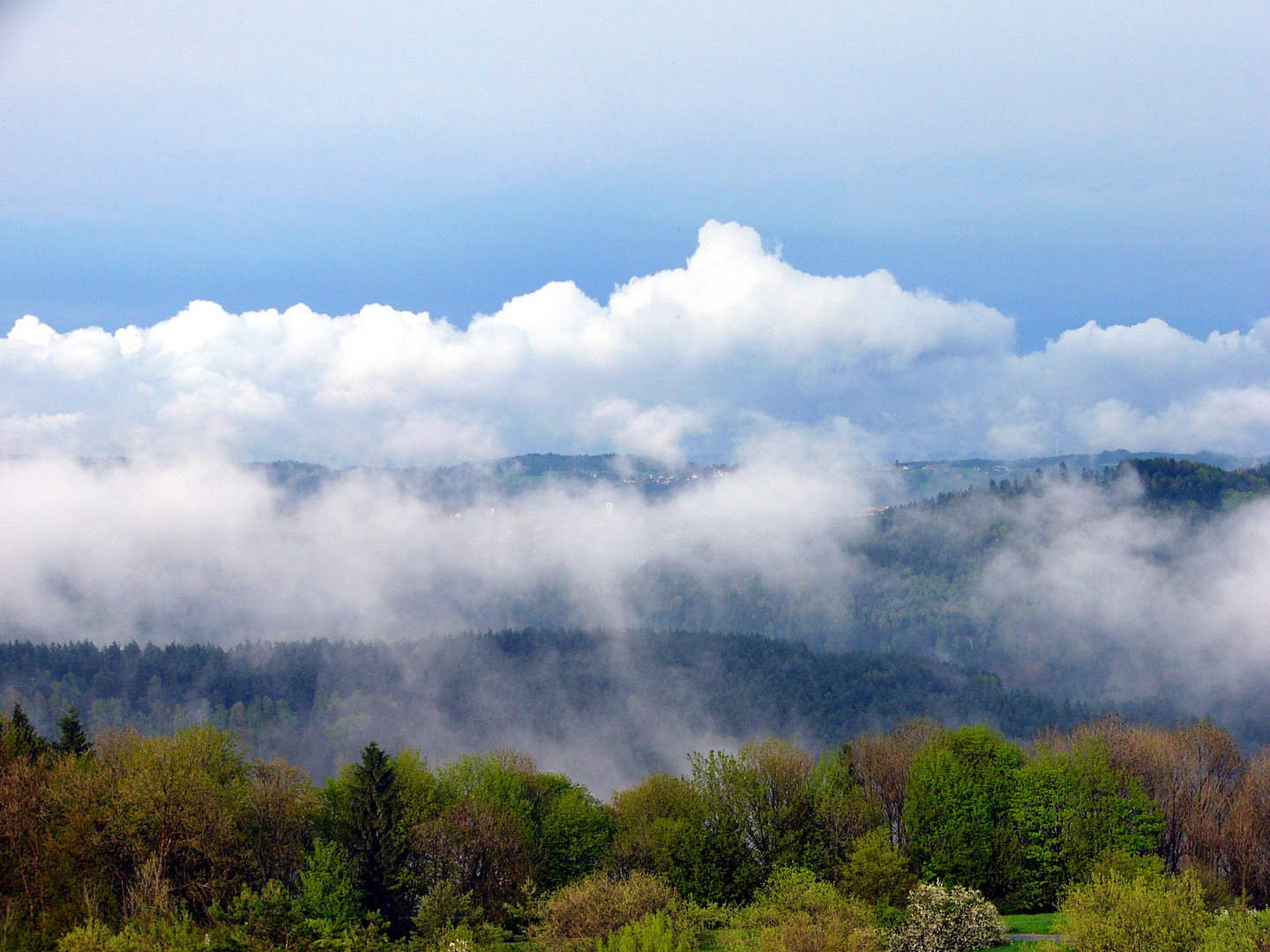 Lindenhardt versteckt sich