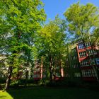 Lindenhof-Siedlung Schöneberg, Bauteil II, Vorhof mit Buchenbestand