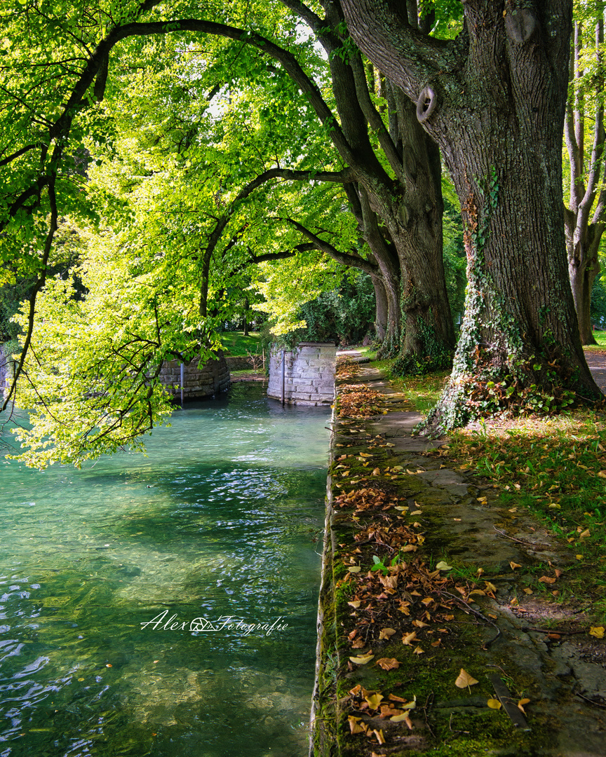 Lindenhofpark am Bodensee 