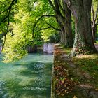 Lindenhofpark am Bodensee 