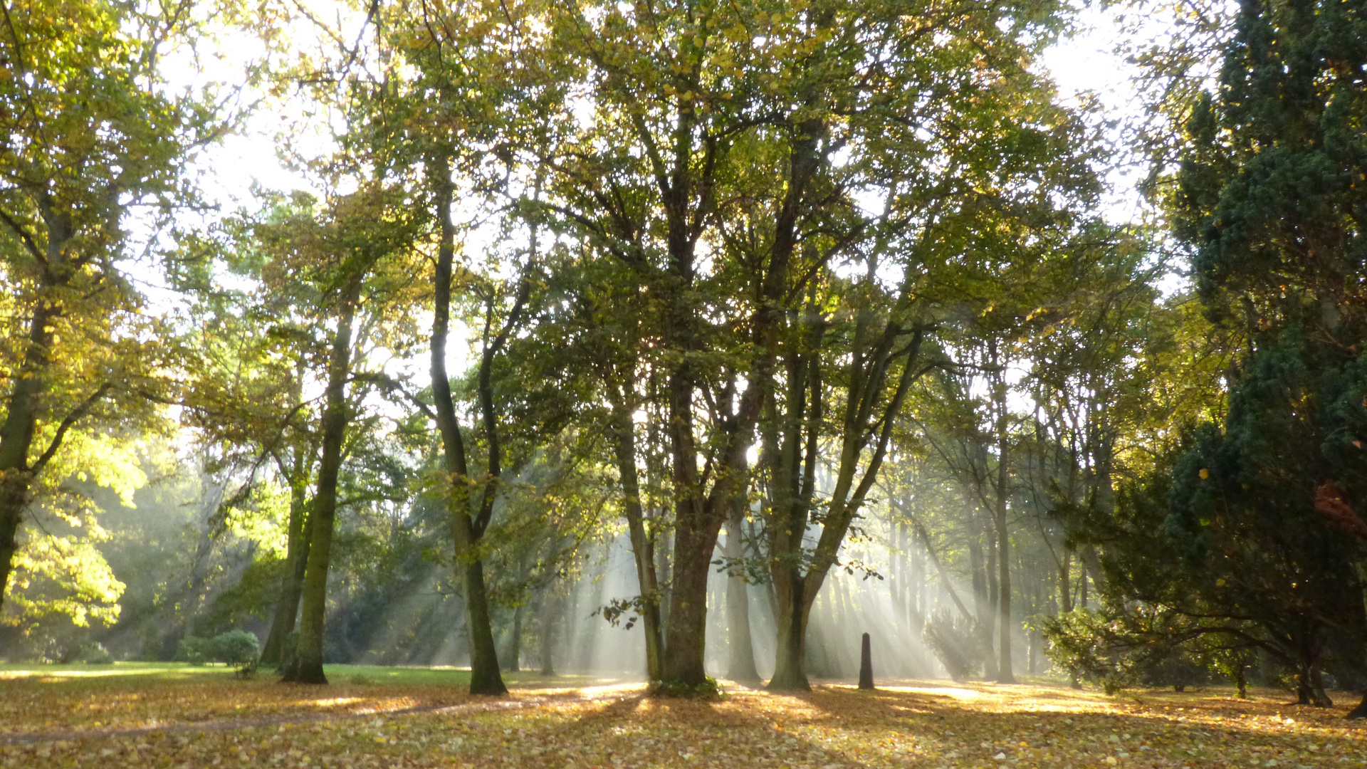 Lindenpark im Herbst