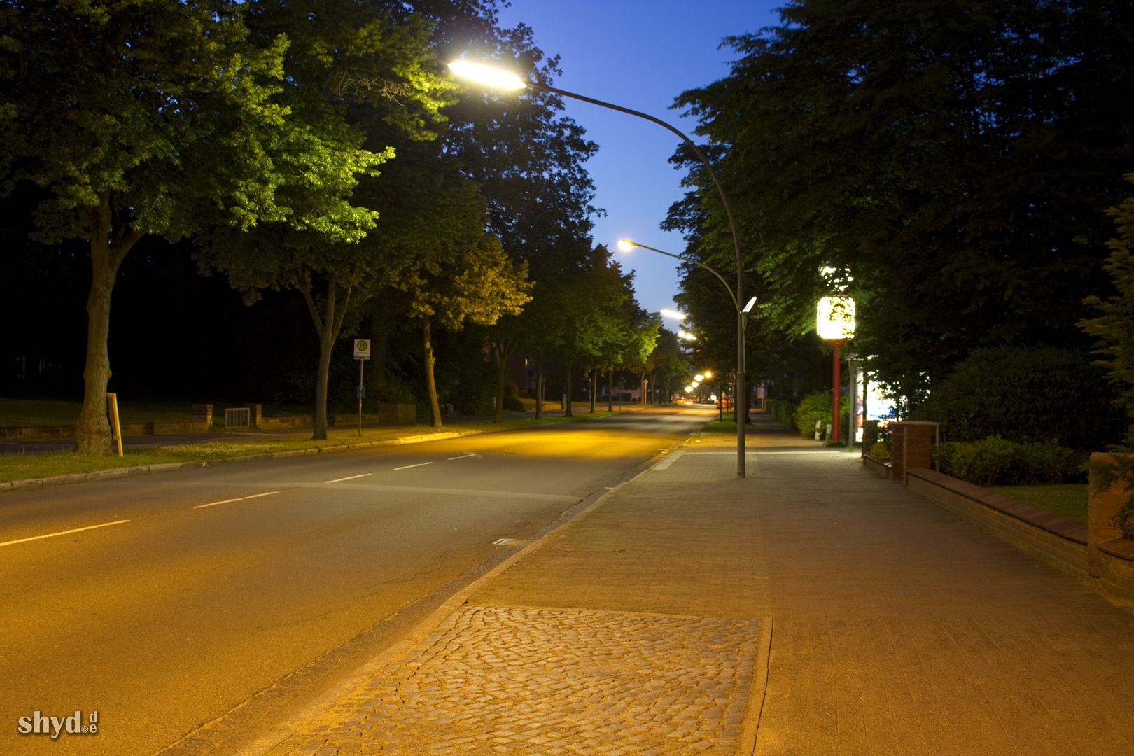 Lindenstraße bei Nacht