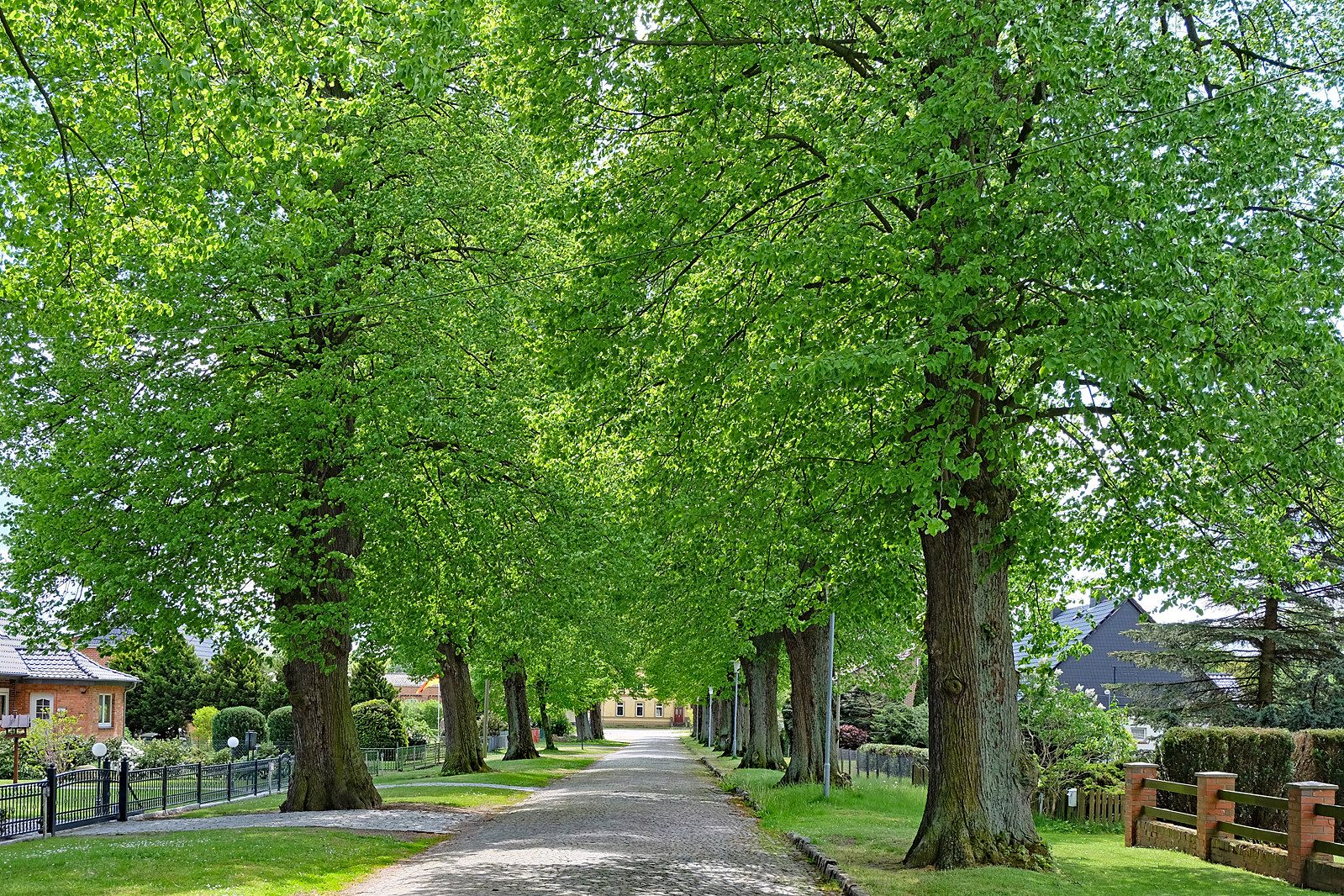 Lindenstraße in Brahlstorf / Elbe