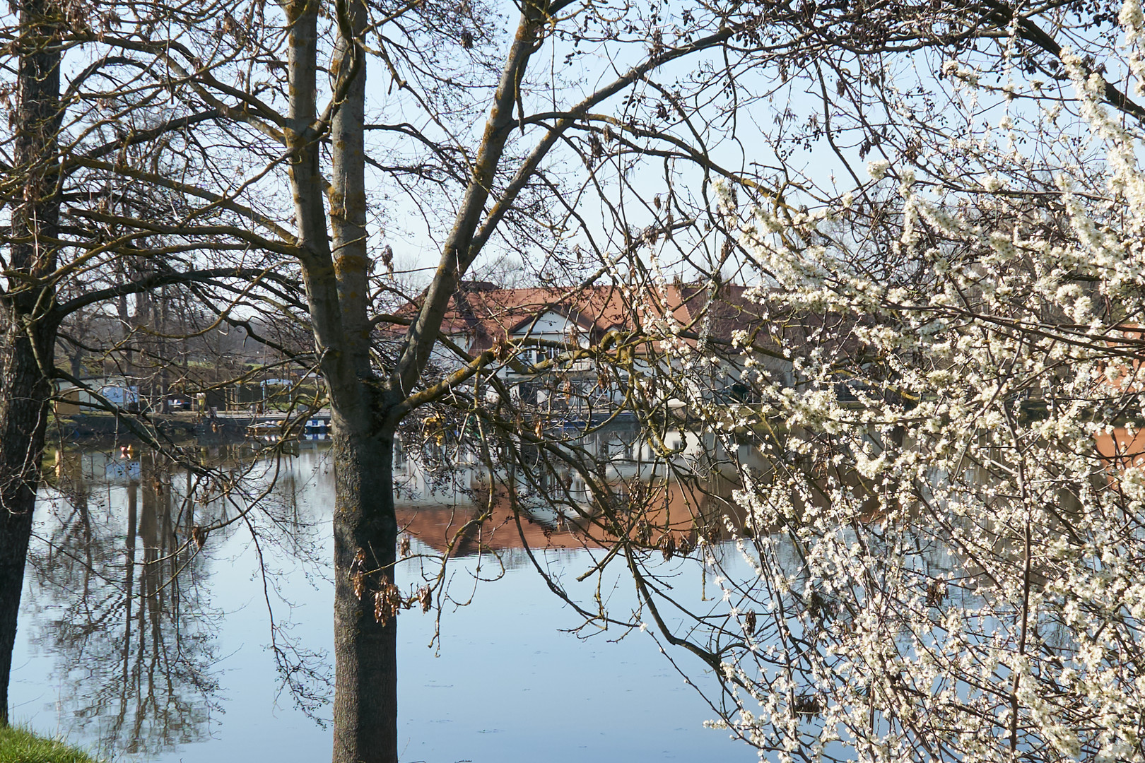 Lindenvorwerk bei Kohren-Sahlis 06