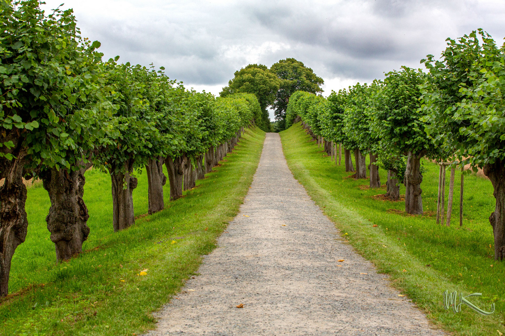 Lindenweg Schloss Bothmer