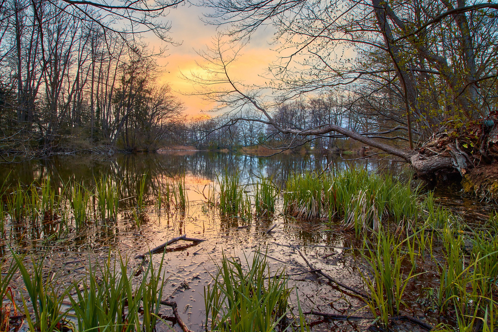 Lindenweiher