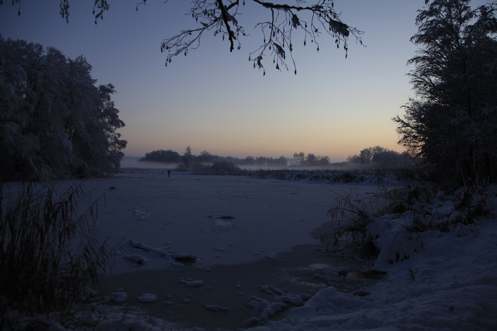 Lindenweiher in der Dämmerung 