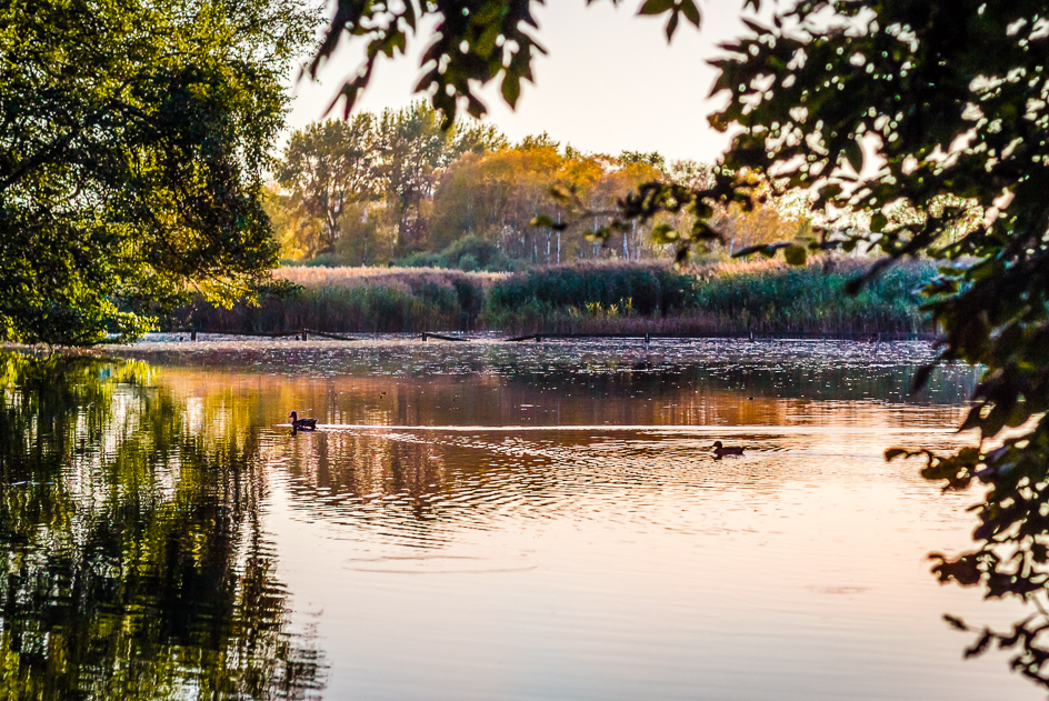 Lindenweiher-Sep-2016