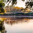 Lindenweiher-Sep-2016