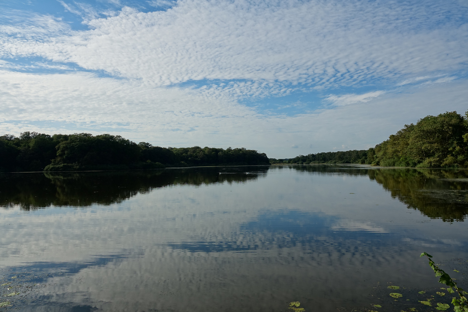 Linderweiher (De Lindre) #2