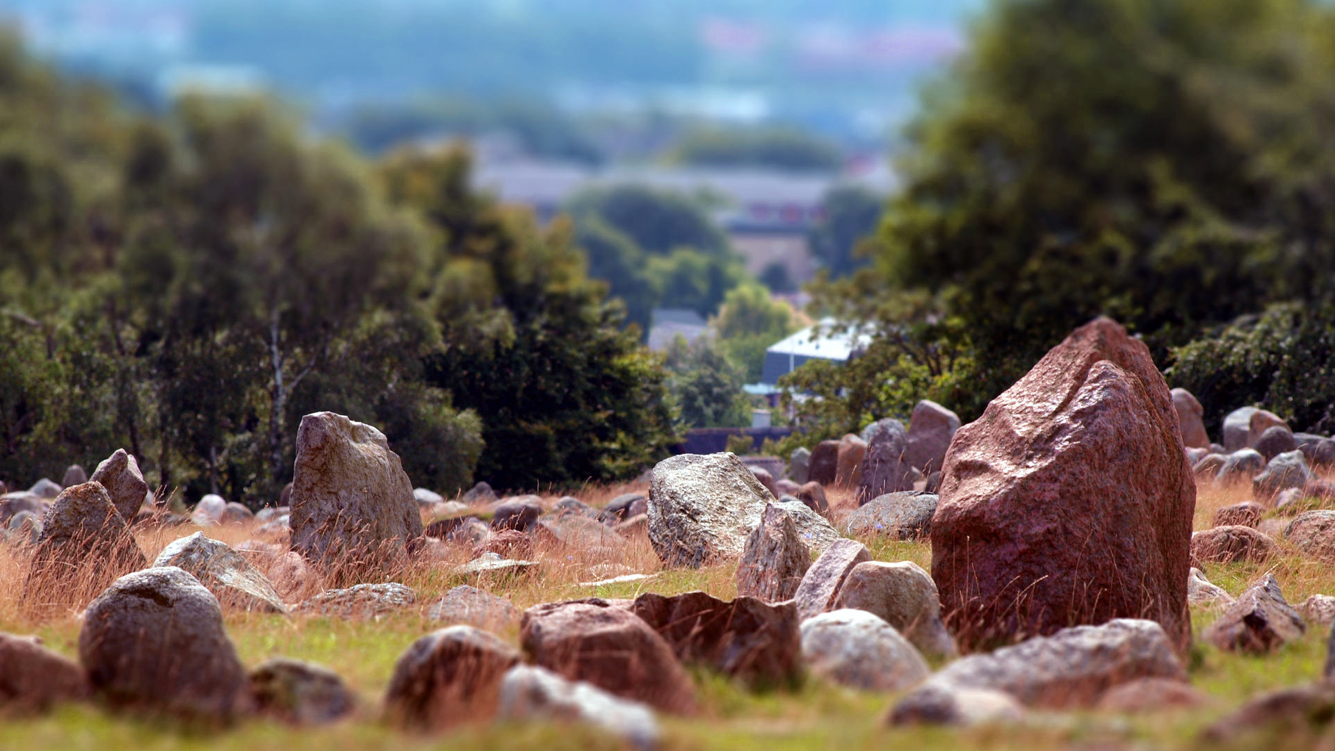 Lindholm Høje bei in Jütland Foto & Bild europe, scandinavia