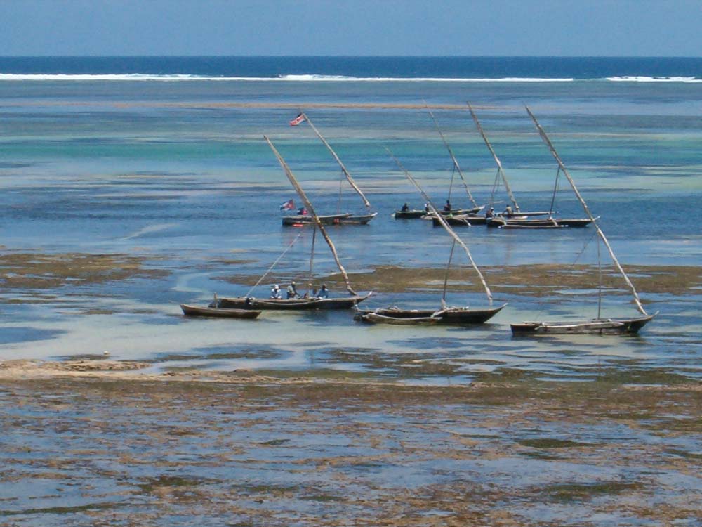 L'Indien prisonnier ou la trève du pêcheur de TELA 