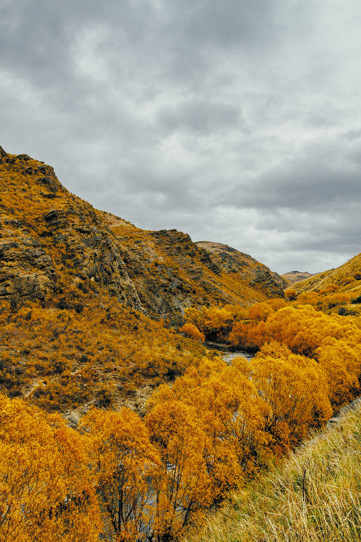 Lindis Pass