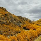 Lindis Pass