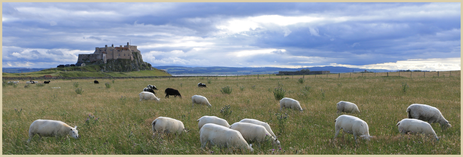 Lindisfarne castle 10