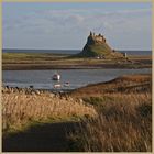 Lindisfarne castle 1b