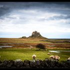 lindisfarne castle