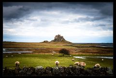 lindisfarne castle