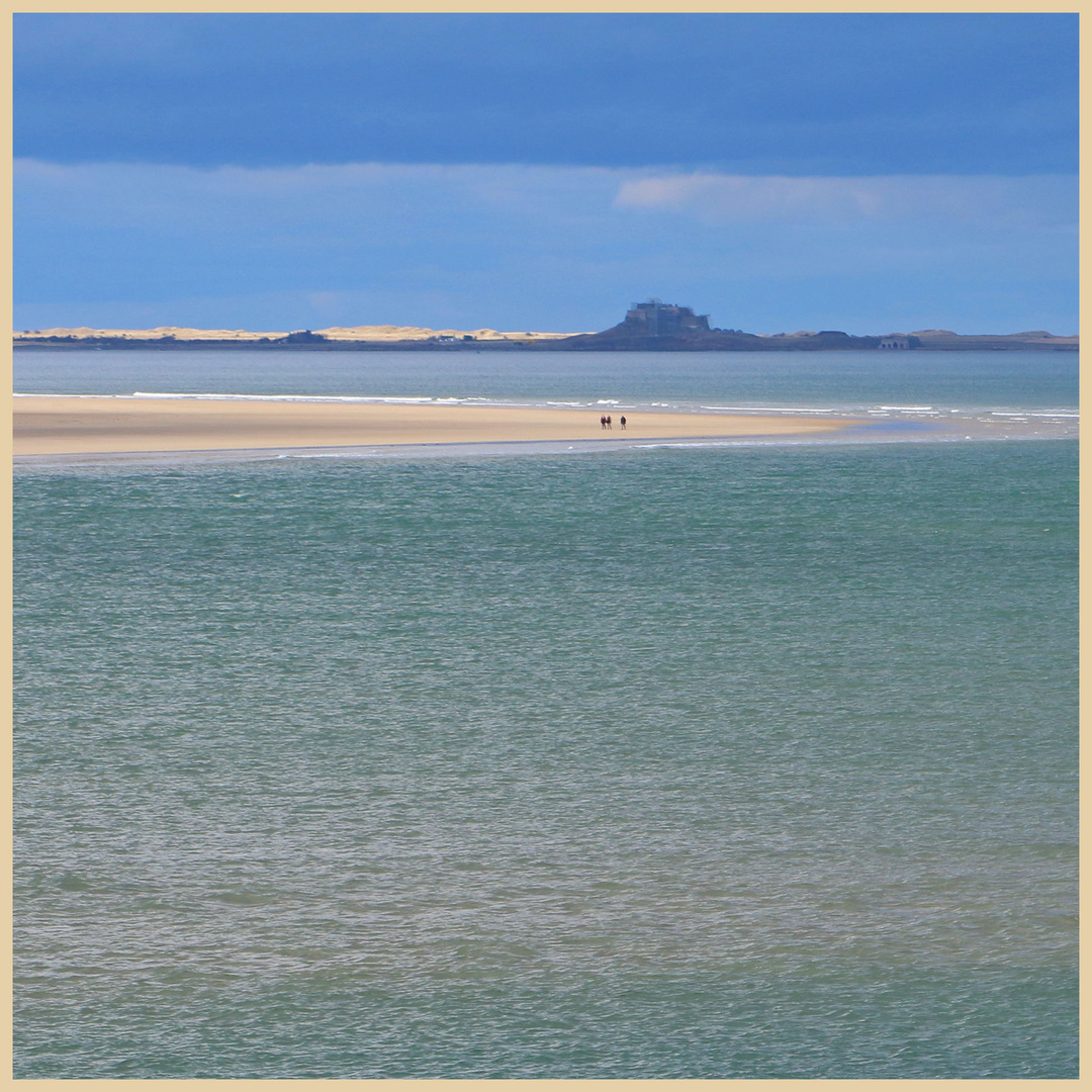 Lindisfarne castle from Budle point 6