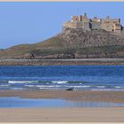 Lindisfarne castle with seal