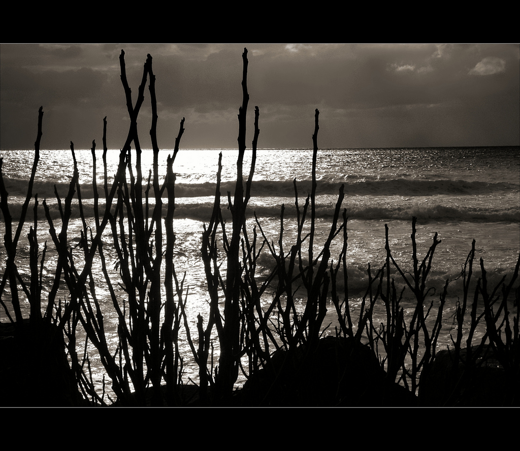 "L'indissolubile fascino del mare"