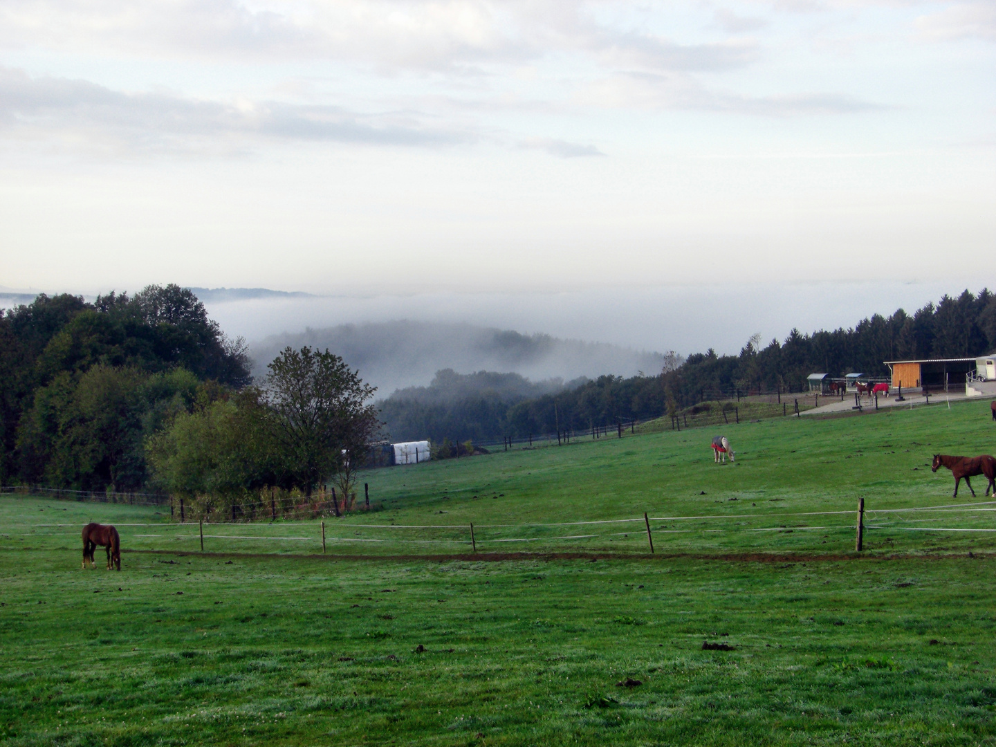 Lindlar-Hohkeppel Reiterhof nach Sonnenaufgang