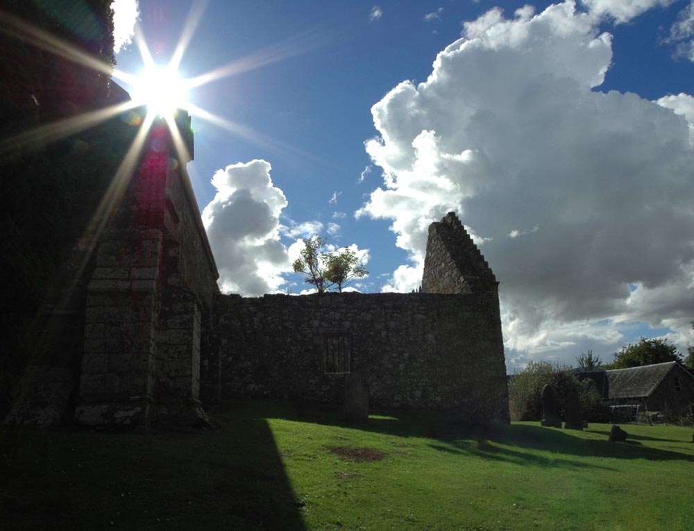 Lindores Abby