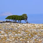 Lindos - Bucht(4)