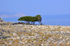 Lindos - Bucht(4)