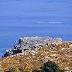 Lindos - Bucht(5)