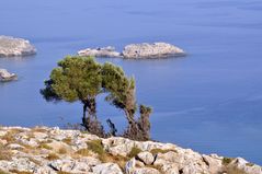 Lindos-Natur und Landschaft am Meer (1)