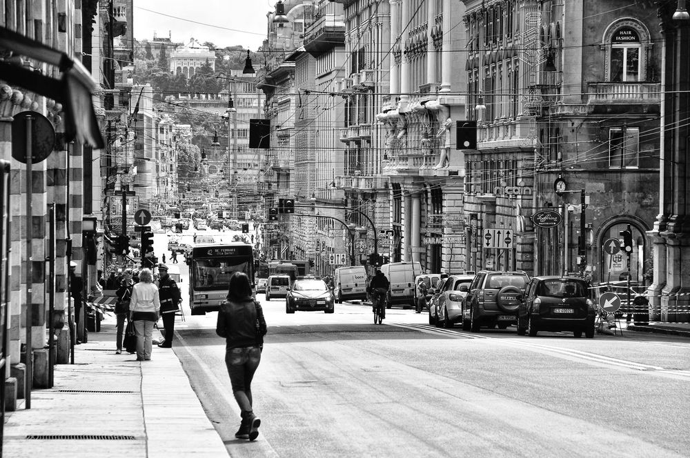 Line 42 Ferrar l via Dante