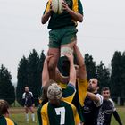 line out 1