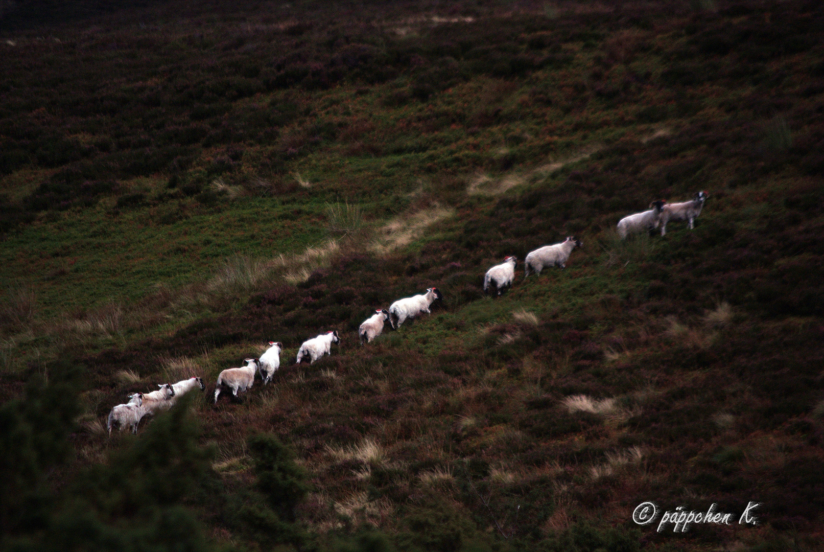 line up in the great outdoors