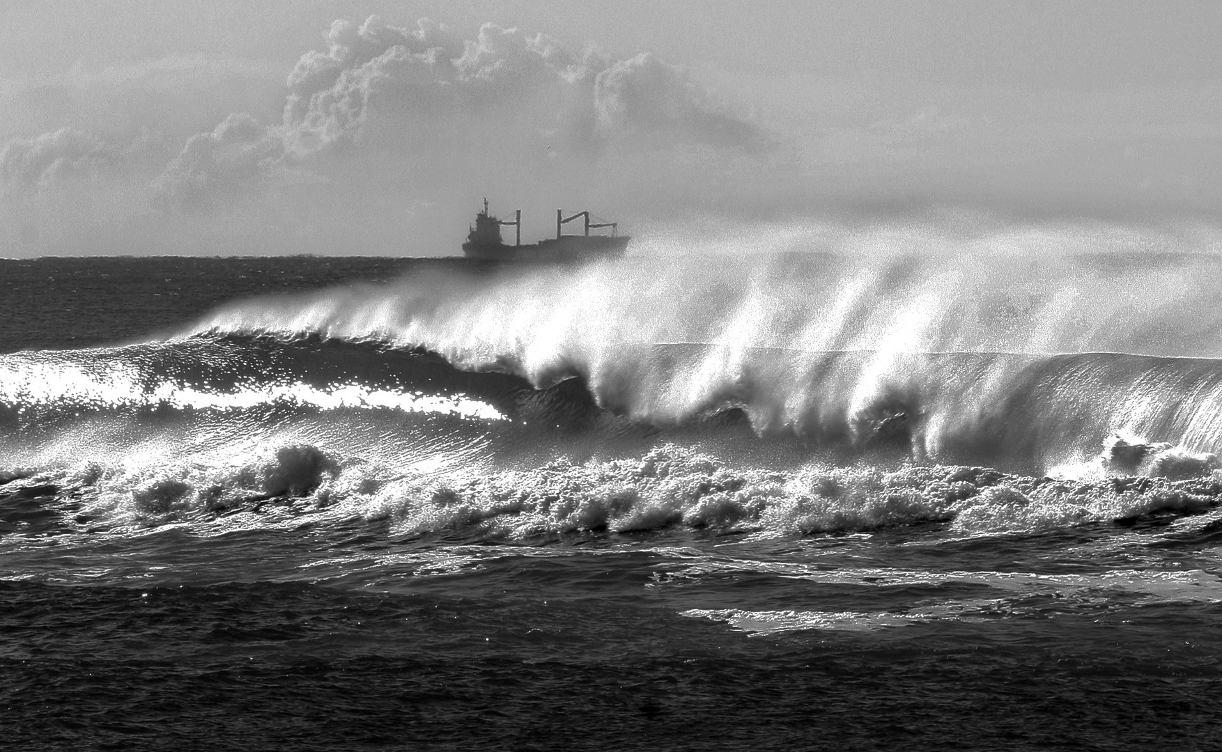 linea di galleggiamento