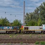 Lineas-Doppel in Gladbeck West