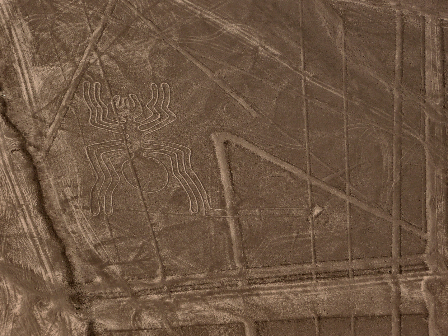 lines - flying in nazca