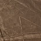 lines - flying in nazca