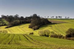 Lines of Spring