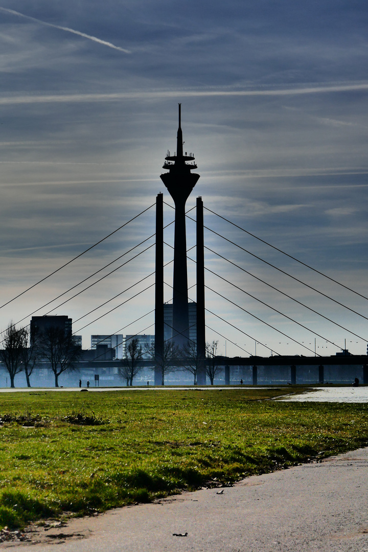 Lines of steel and nature