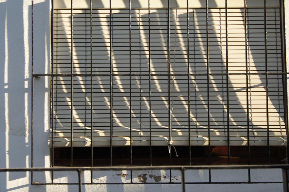 Lines & Shadow